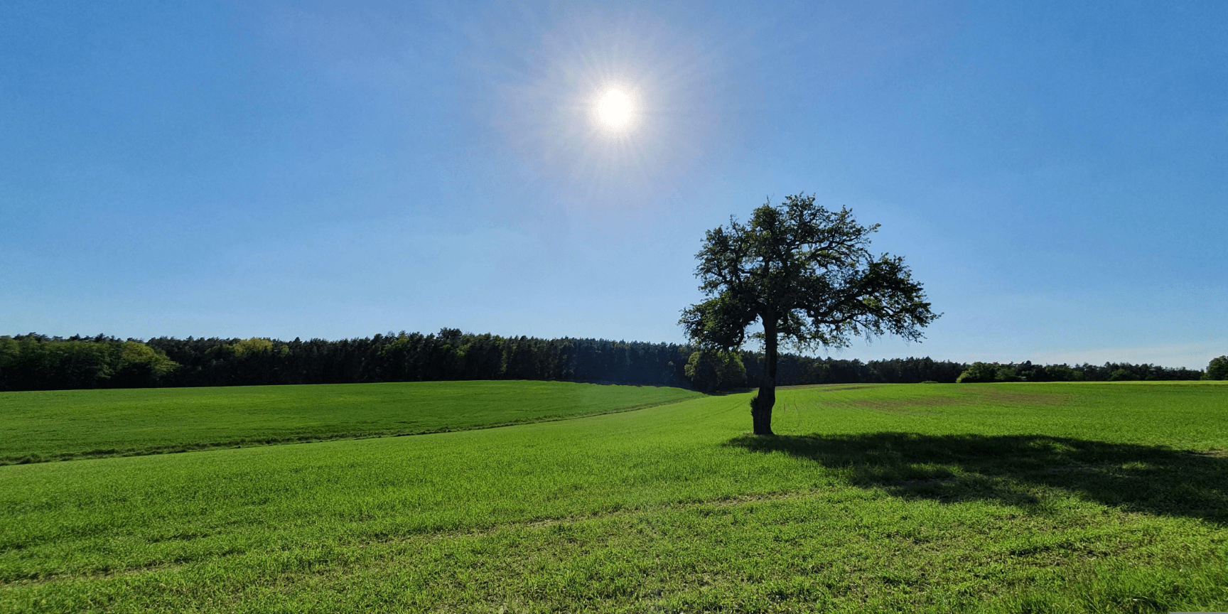 Strategic Partnership with IOZ Powers Microsoft 365 Provisioning for Swiss SMEs 